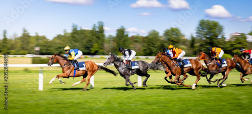 Obraz na plátně Exciting horse race with jockeys competing at full speed on a racetrack