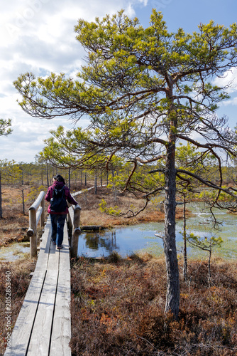 Foto Female Tourist Walking on Wooden Footpath in Swamp Wetland