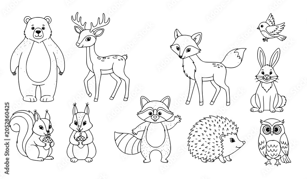 Fototapeta premium Woodland Forest Animal Character Set with Bear Deer Fox Rabbit and Owl