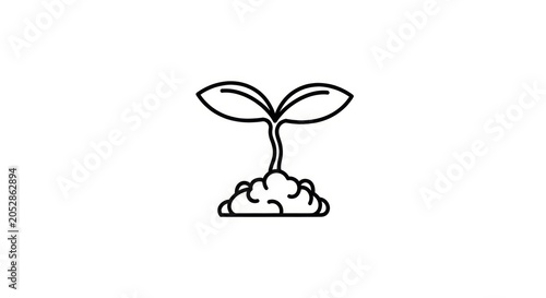 Sprouting Plant Growing in Soil.