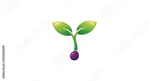 Small green plant with purple berry.