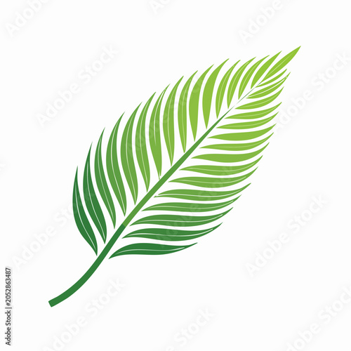 Green palm leaf illustration on white background