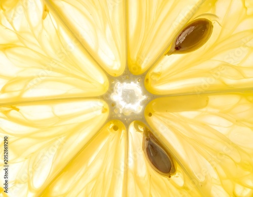 Macro texture of sliced juicy lemon fruit pulp