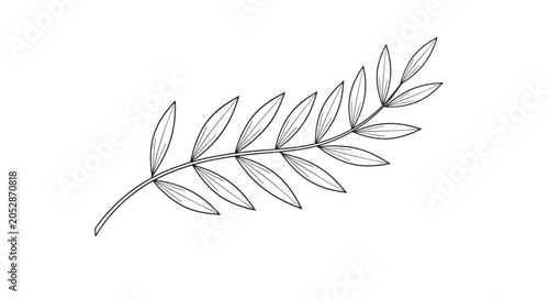 Schilderij op canvas Simple black and white line drawing depicts a single leafy branch with small oval leaves arranged symmetrically along the stem