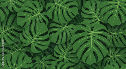 Dense and lush seamless pattern features overlapping green monstera leaves to create a vibrant tropical jungle foliage effect.