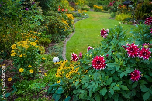 Dahlien im schönen Herbstgarten