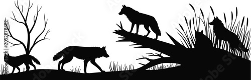 Fotografi A professional minimalist vector silhouette set featuring a pack of wild wolves