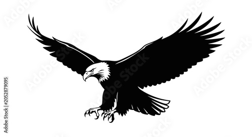 Bild auf Leinwand American Bald Eagle in Flight Posture.