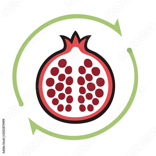 Pomegranate illustration with seeds and green cycle