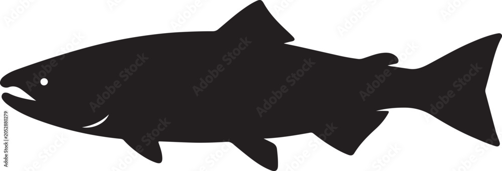 Fototapeta premium vector illustration of a salmon