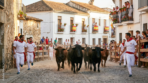 Toros avanzan por una calle adornada durante una celebración popular.