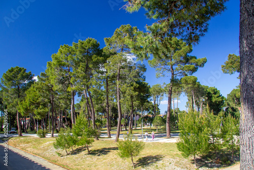 Zaton Holiday Resort in Croatia with appartments and big trees