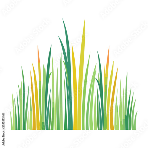 Colorful grass illustration on white background