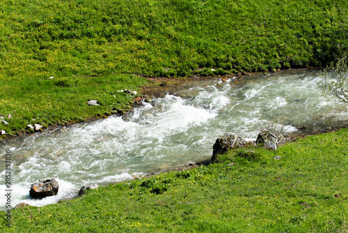 Принти на полотні Tamdere Stream in Dereli, Giresun (Türkiye), a tributary of the Aksu River
