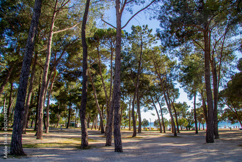 Zaton Holiday Resort in Croatia with appartments and big trees