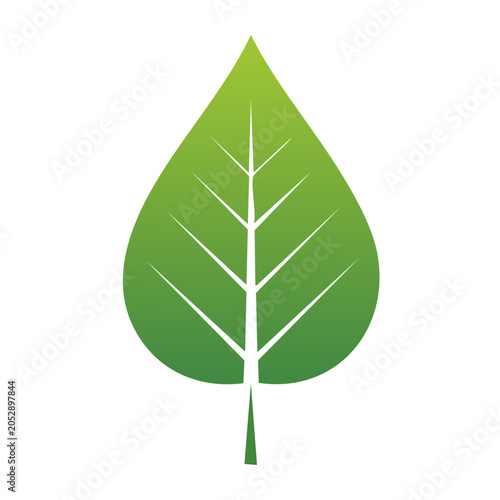 Green leaf icon with white veins on transparent background
