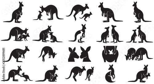 Plakat w ramie kangaroo.
