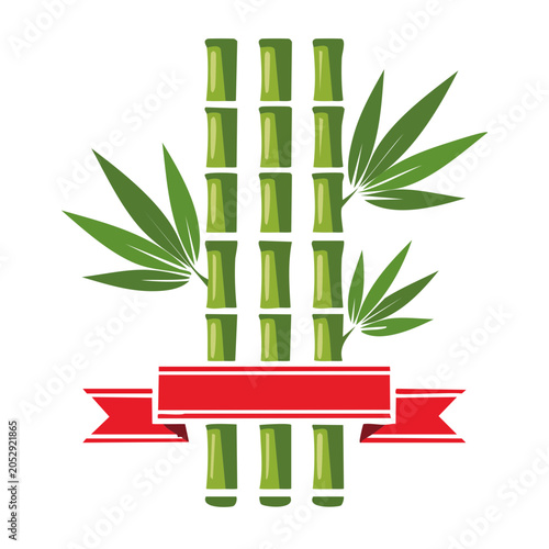 Bamboo plant with leaves and red ribbon