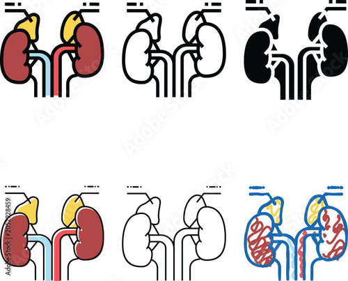 Foto adrenals endocrinology color icon vector