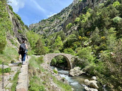Puente de Cremal