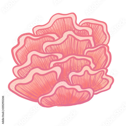 Φωτογραφία graphic resource illustration: aquatic plants and coral reefs