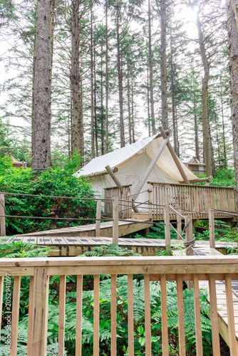 Gramping tent in the forest