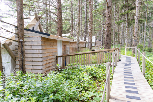 Glaming in the forest in Haida Gwaii