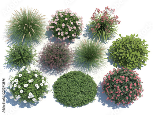 Collection of top view garden plants shrubs and flowering bushes isolated on white background for landscape design architectural planning