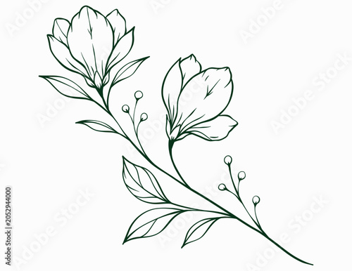 Hand Drawn Elegant Botanical Line Art Branch