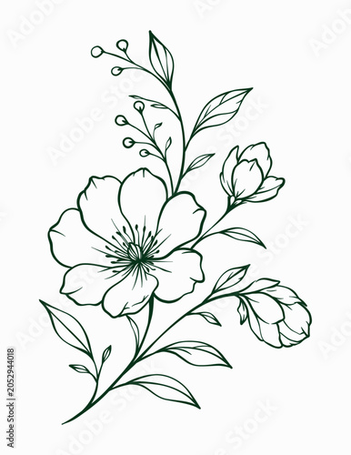 Hand Drawn Elegant Botanical Line Art Branch