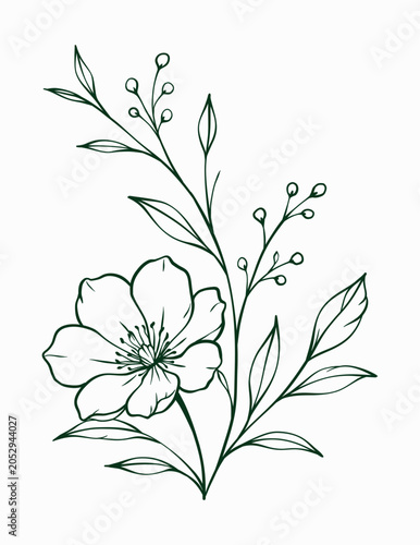 Hand Drawn Elegant Botanical Line Art Branch