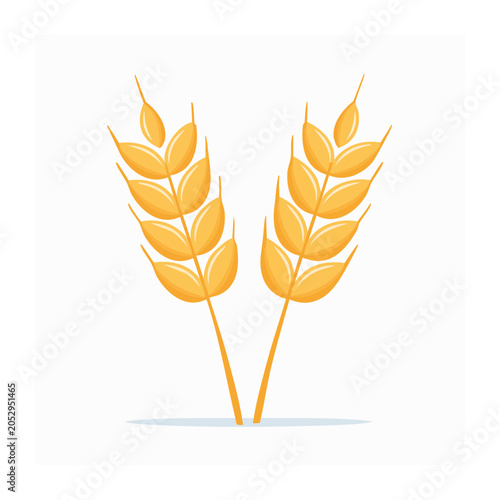 Two golden wheat stalks on a white background