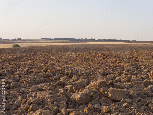 Fotografija Wide view of a plowed field in the countryside during late afternoon in a rural