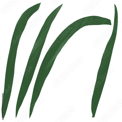 Green Grass in Gouache Style. Hand Painted PNG Isolated Botanical Element