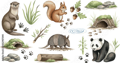 Photos Wild animals and forest habitat elements collection set with otter squirrel arma