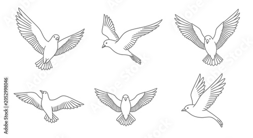 Tableau sur toile Six detailed line art illustrations of white doves in various flying positions, showcasing their graceful wings and peaceful movement