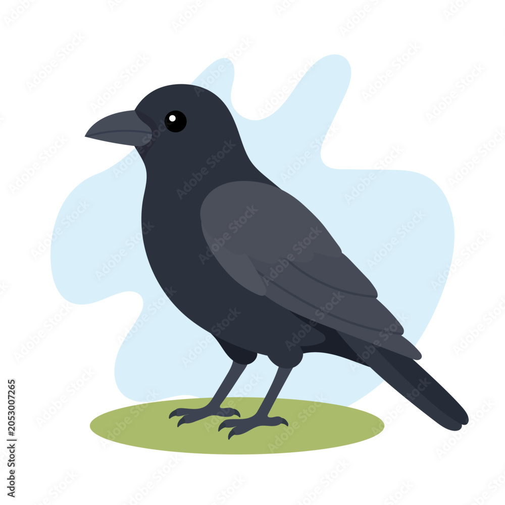 Obraz premium Common raven in flat wildlife style. Common raven illustration featuring Corvus corax, intelligent black bird for education use.