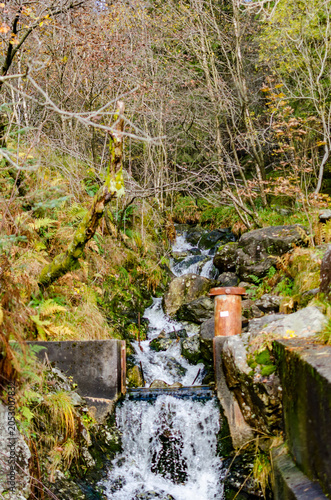 Petite cascade en forêt avec aménagement en pierre et mousse
