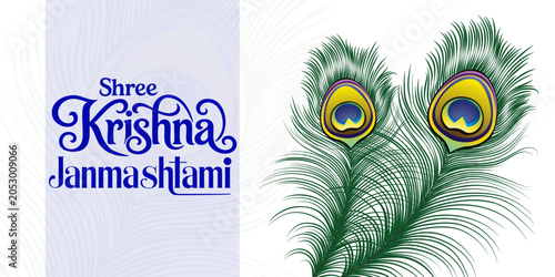 Krishna Peacock Feather Vector Illustration