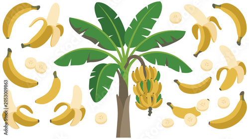 Εκτύπωση καμβά Banana tree and various fresh yellow fruits illustration.