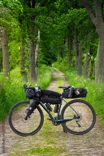 Loaded gravel bicycle on the background of the rural road. Perspective photography