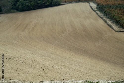 Landscapes of the Piedmontese Langhe in autumn with vineyards near Alba
