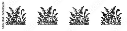 Fotografija Sketch fern garden icon design set