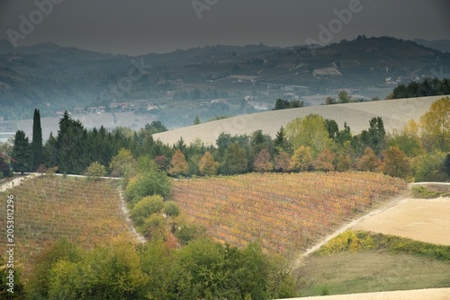 Obraz na plátně landscape of the Langhe in Piedmont in autumn after the grape harvest, with the