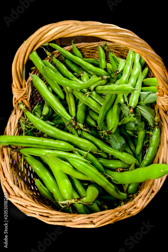 Photo of broad beans freshly picked from the garden.