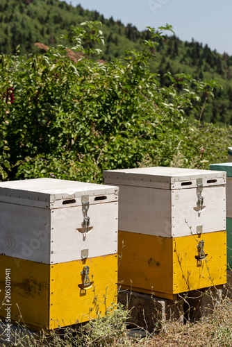 Apiary with colorful hives in the mountains (Central Greece)