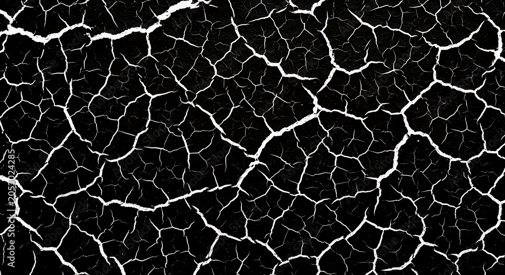 Fototapeta premium Cracked earth texture high resolution black and white backround for graphic design