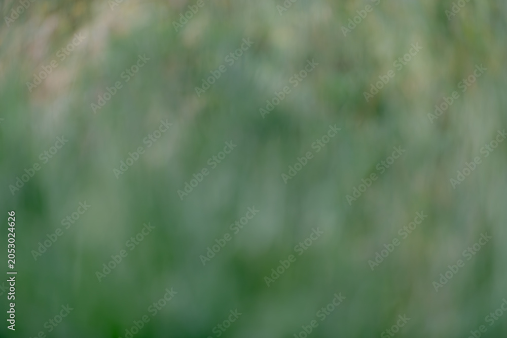 Obraz premium Defocused meadow vegetation creating a smooth green background. Natural abstract composition with soft gradients, muted colors and calming organic atmosphere.