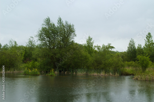 The Salburua Wetlands restored from being drained farmland. Parque de Salburua  close to  Vitoria Gasteiz, Basque Contry, Spain
