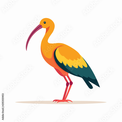 Cartoon Scarlet Ibis Bird Illustration